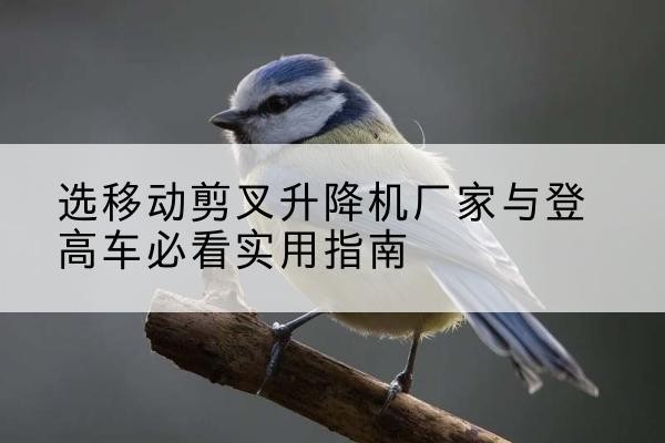 郾城电动升降机厂家-选移动剪叉升降机厂家与登高车必看实用指南