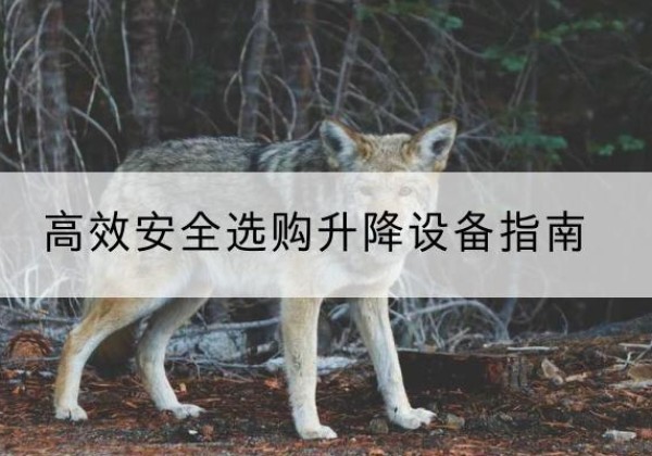 郾城升降货梯厂家推荐-*安全选购升降设备指南
